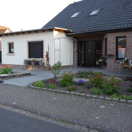 Gaestehaus Am Hermann Hoerstel Luaran gambar